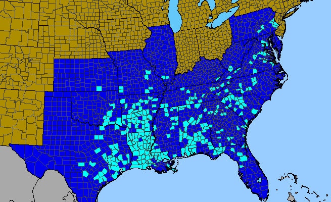 The range of Citrus trifoliata